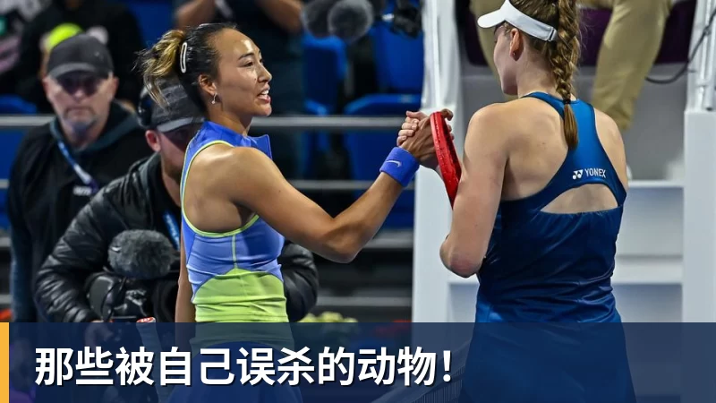 李思思现状:县城商演穿廉价西装,挣钱养俩儿子 - 华体会体育-华体会体育·(中国)官方网站